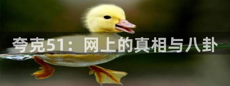 夸克51：网上的真相与八卦