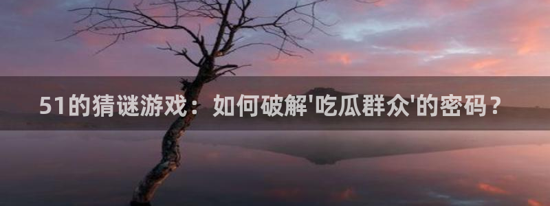 51的猜谜游戏：如何破解\'吃瓜群众\'的密码？