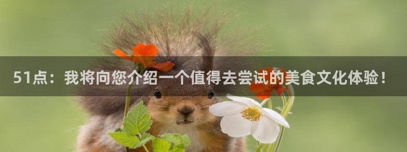 51点：我将向您介绍一个值得去尝试的美食文化体验！