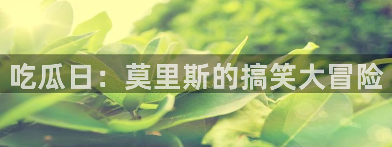 吃瓜日：莫里斯的搞笑大冒险